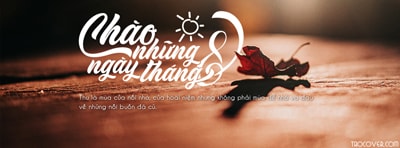 Ảnh bìa facebook tháng 8 typography nghệ thuật