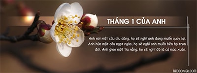 Tạo ảnh bìa Facebook nghệ thuật chào tháng 1