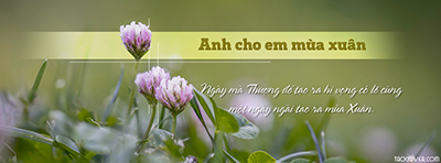 Tạo ảnh bìa Facebook hoa mùa xuân