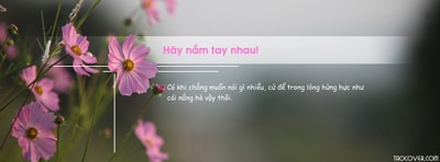 Ảnh bìa Facebook hoa mùa hạ rực rỡ và đầy nhiệt huyết